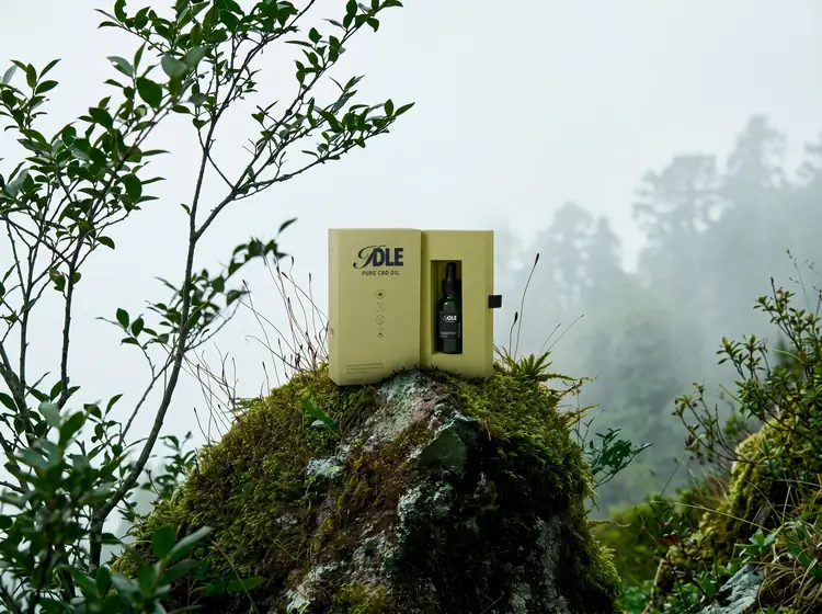 IDLE CBD Oil on the moss