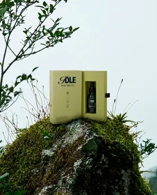 IDLE CBD Oil — packaging front