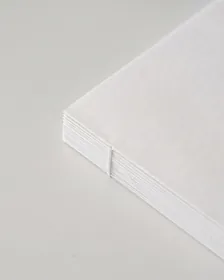 The Whale — interior page