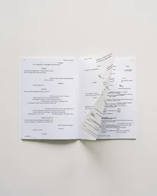 The Whale — the issue in hand